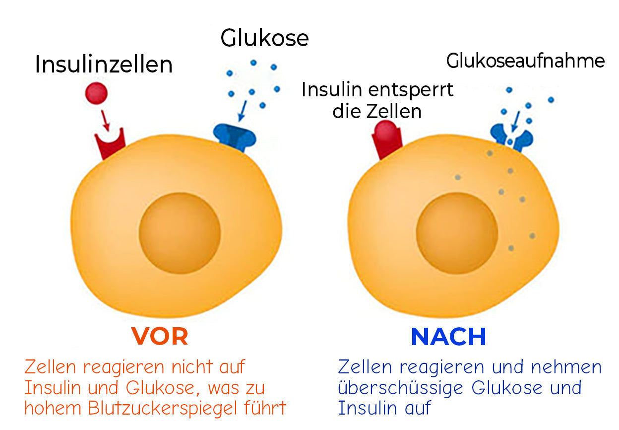đ„Futuslyâą Blutzuckerregulation - medizinisches Gesundheitsarmband