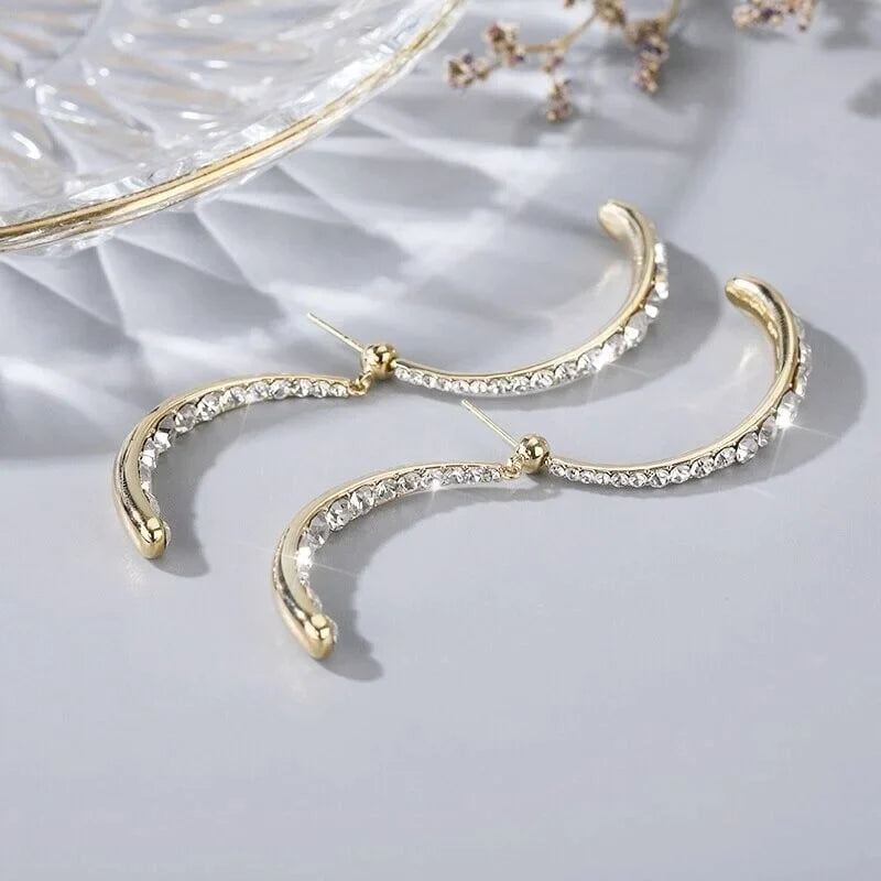 💎Futusly™ Elegante Lymphmagnet Ohrhaken