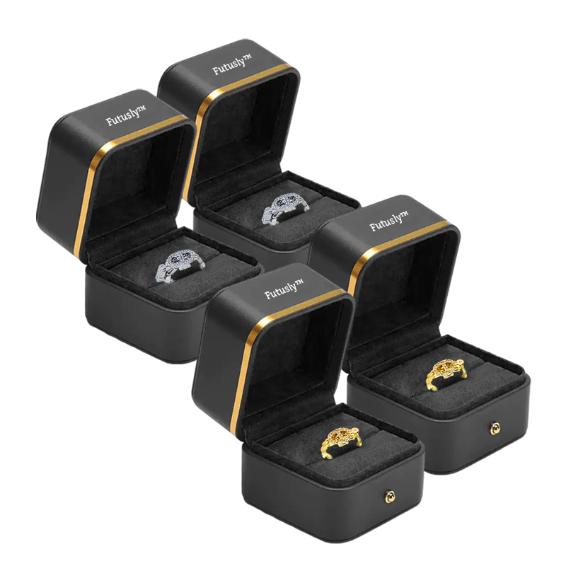 Futusly™ Titanium Ion Magnetology Lymphvity Detox Ring (verstellbare Größe)
