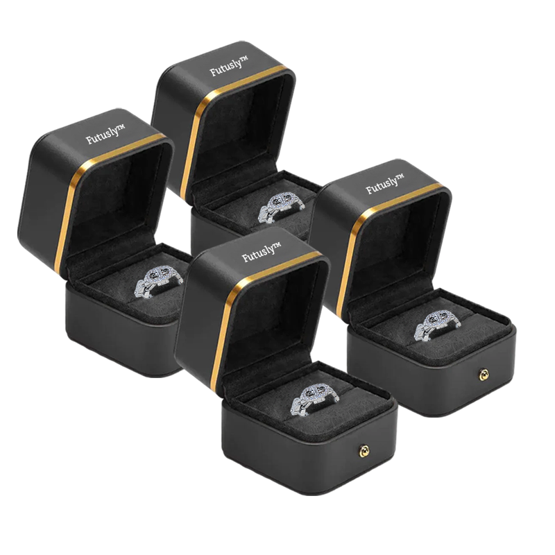 Futusly™ Titanium Ion Magnetology Lymphvity Detox Ring (verstellbare Größe)