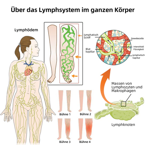 🔥🔥Sugoola™ 🐝Beim Venom Lymphtische Entwässerung & Schlankheits Fußbad Perlen🫚 - BMG Erwartete Empfehlungen👍