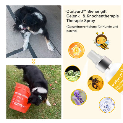 Ourlyard™  Biene Venom Gelenk & Knochen Therapie Spray (Ganz Körper Erholung für Hunde & Katzen)