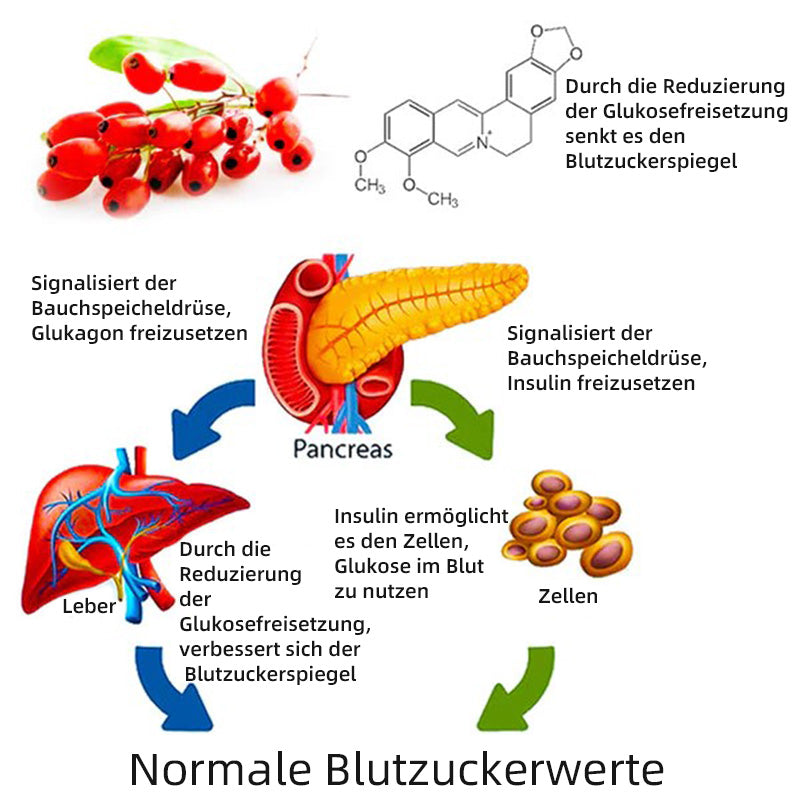 Furzero™ SugarSync-Gesundheit Kontrolle Aerosolizer